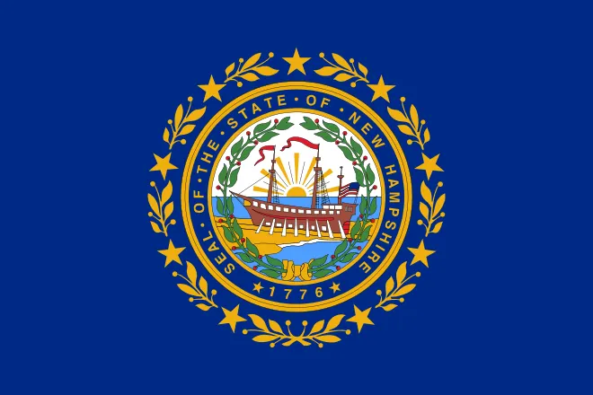 New Hampshire state flag